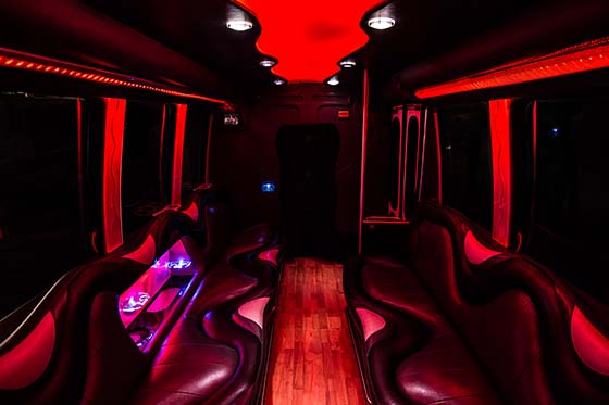 mini party bus