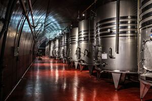 production facility of wines